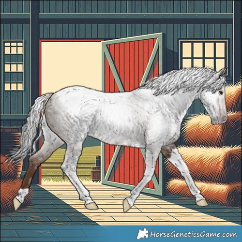 Horse Color:Gray Classic Champagne Tobiano 