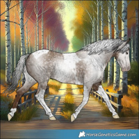 Horse Color:Gray Classic Champagne Tobiano 