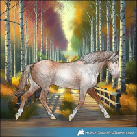 Horse Color:Gray Gold Champagne Tobiano 