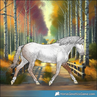 Horse Color:Gray Gold Champagne Tobiano 