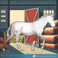 Horse Color:Gray Gold Champagne Tobiano 