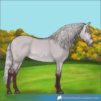 Horse Color:Chocolate Silver Brown Chinchilla Dun