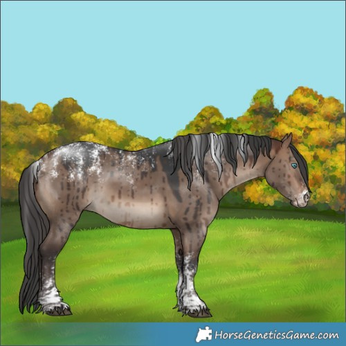 Horse Color:Powder White Brown Dun Rabicano Brindle 