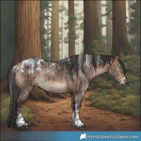 Horse Color:Powder White Brown Dun Rabicano Brindle