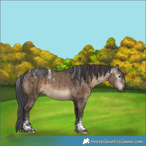 Horse Color:Powder White Gray Silver Brown Dun Tobiano Brindle 