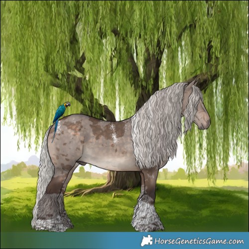 Horse Color:Powder White Silver Brown Dun Merle Tobiano 