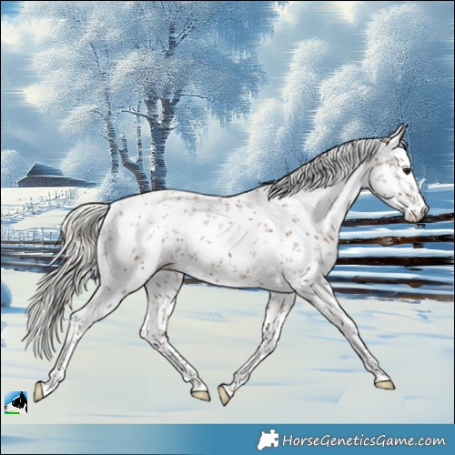 Horse Color:White Spotted Silver Smoky Black Sabino 
