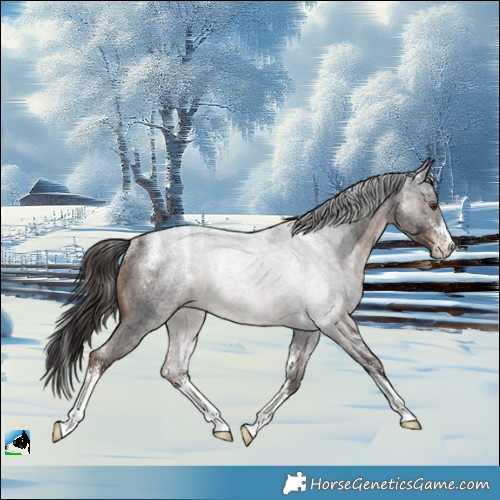 Horse Color:Powder White Liver Red Roan Rabicano 