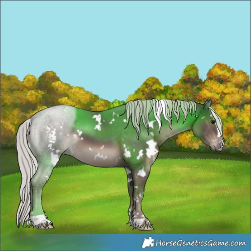 Horse Color:White Spotted Silver Black 