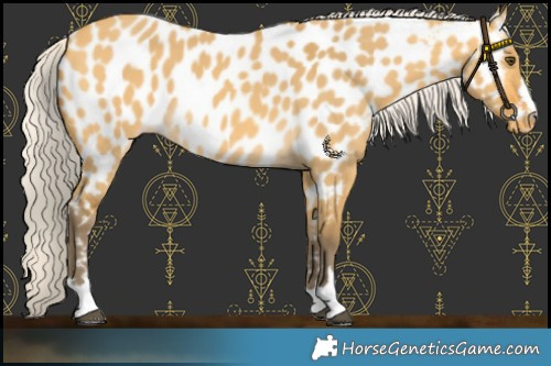 Horse Color:Silver Buckskin Dun Near Leopard 