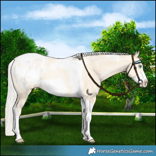 Horse Color:Silver Buckskin Pearl Dun Tobiano Frame Blanket 