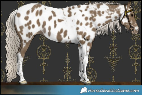 Horse Color:Silver Smoky Black Tobiano Near Leopard 