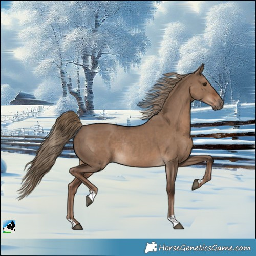 Horse Color:Liver Red Dun Rabicano 