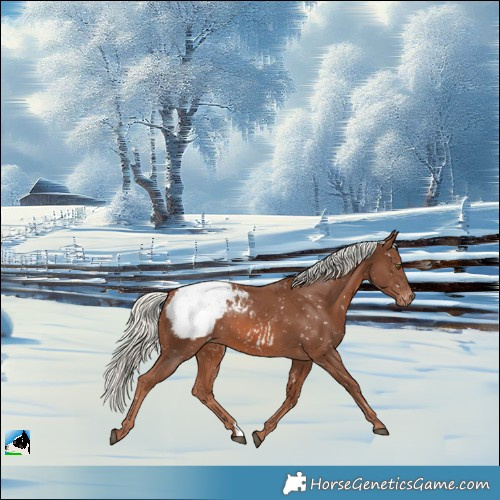 Horse Color:Chestnut Mushroom Snowcap 