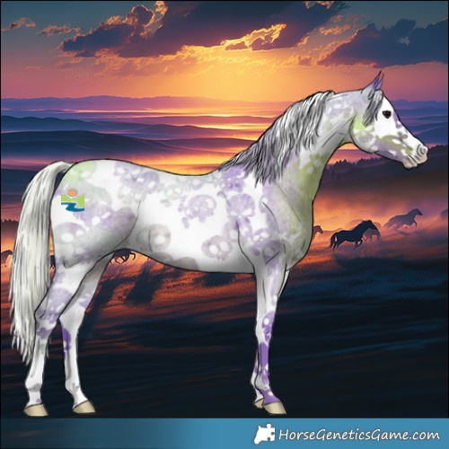 Horse Color:Watercolor Silver Blue Roan Splash Tobiano Rabicano 