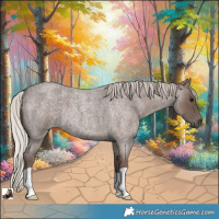 Horse Color:Silver Blue Roan 