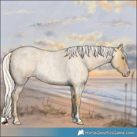 Horse Color:Silver Classic Cream Champagne Roan