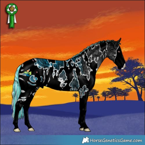 Horse Color:ERROR: UNKNOWN ANOMALY