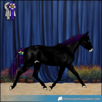 Horse Color:Painted Red Chinchilla Roan 
