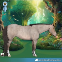 Horse Color:Sable Champagne Roan
