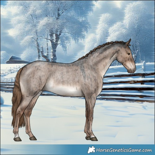 Horse Color:Liver Red Dun Roan Rabicano Brindle