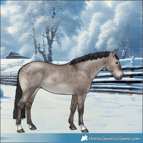 Horse Color:Brown Dun Mushroom Rabicano Brindle