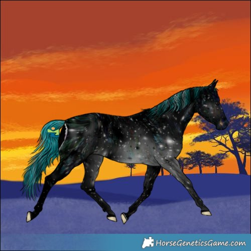 Horse Color:ERROR: UNKNOWN ANOMALY