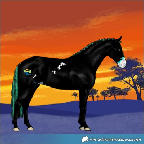 Horse Color:Painted White Spotted Red Chinchilla Roan Blanket 