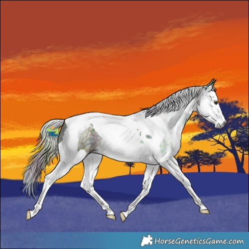 Horse Color:Gray Nacre Chestnut Ice Splash Tobiano 