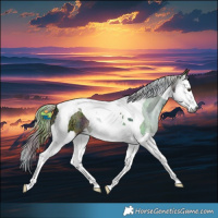 Horse Color:Gray Nacre Chestnut Ice Splash Tobiano
