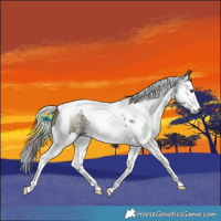 Horse Color:Gray Nacre Chestnut Ice Splash Tobiano 