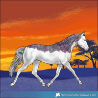 Horse Color:Nacre Watercolor Silver Grullo Ice Splash