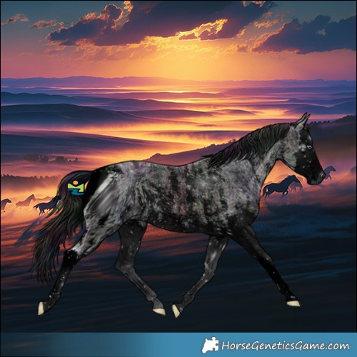Horse Color:ERROR: UNKNOWN ANOMALY