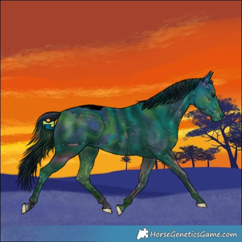 Horse Color:ERROR: UNKNOWN ANOMALY