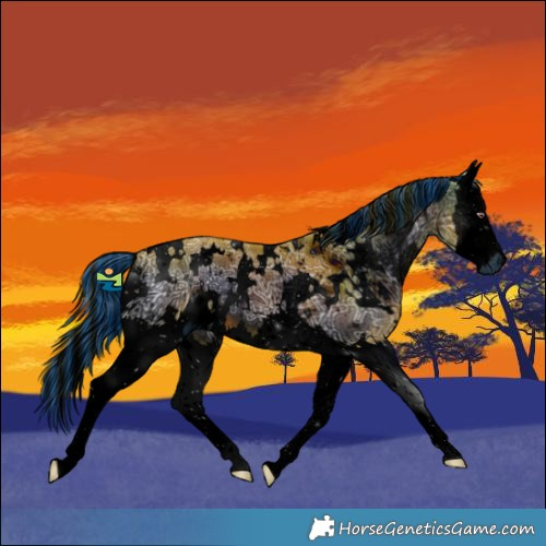 Horse Color:ERROR: UNKNOWN ANOMALY