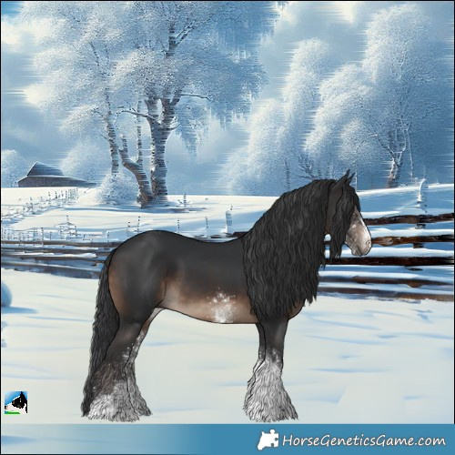 Horse Color:White Spotted Brown Tobiano Rabicano