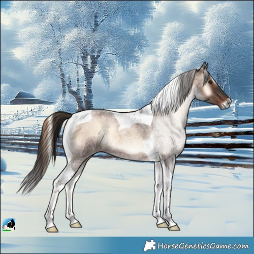 Horse Color:Liver Red Onyx Roan Tobiano 