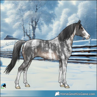 Horse Color:Powder White White Spotted Brown Rabicano