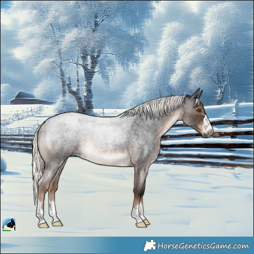 Horse Color:Liver Red Roan Mushroom Rabicano