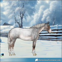 Horse Color:Liver Red Roan Mushroom Rabicano