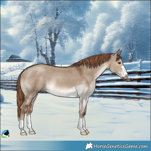 Horse Color:Liver Red Dun Rabicano