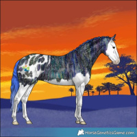 Horse Color:Watercolor Bay Ice Splash Blanket 