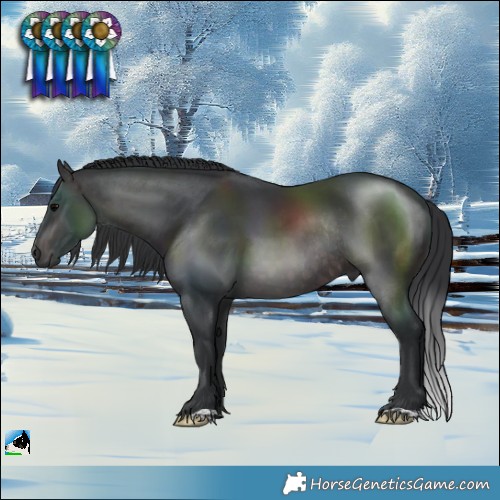 Horse Color:Platinum Brown Rabicano 