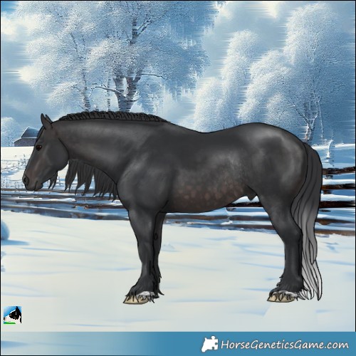 Horse Color:Platinum Brown Rabicano 