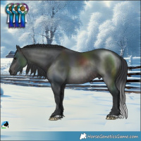 Horse Color:Platinum Brown Rabicano