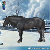 Horse Color:Platinum Brown Rabicano 