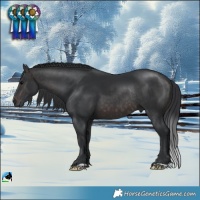 Horse Color:Platinum Brown Rabicano