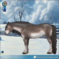 Horse Color:Platinum Liver Chestnut Rabicano 