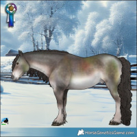 Horse Color:Platinum Liver Chestnut Rabicano 