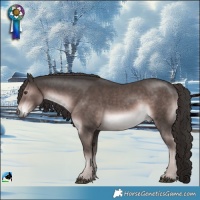 Horse Color:Platinum Liver Chestnut Rabicano 